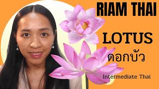 LOTUS - Intermediate Thai