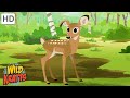 Deer and Predator Dynamics