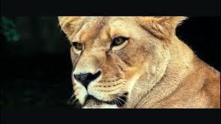 Download lagu Daniel Deuschle - ENDURING HOPE (VonPid Remix)