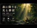 森に降りる、光と静寂|Forest Light & Silence【2時間】ヒーリング・エステ・マッサージ・睡眠・リラックス・スパ・瞑想・サロンBGM・配信用BGM