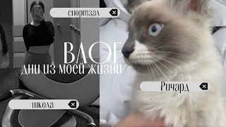 влог// дни из моей жизни