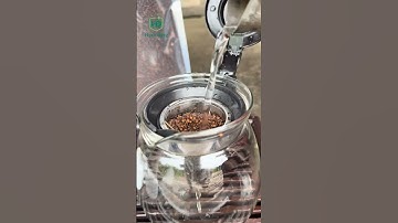 Trinh nữ–loại cây 