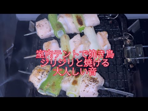 お部屋でソロキャンプ！室内テントで焼き鳥ジリジリ！