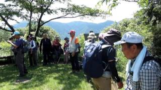 蓮華寺山・高城山（坂歩こう会定例山行） | 山屋のページ - 楽天ブログ