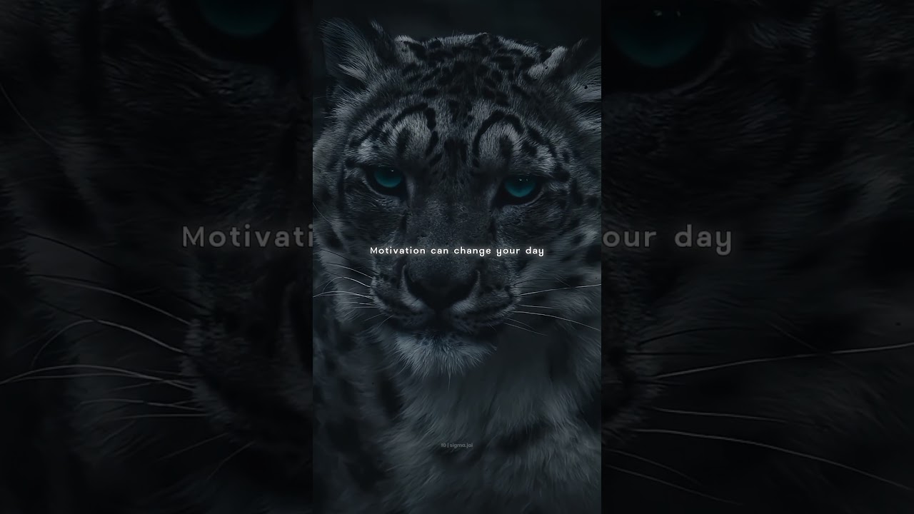 so what you will choose. 