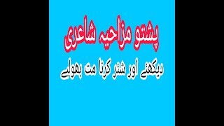 pashto kachara and funny poetry 2018 screenshot 4