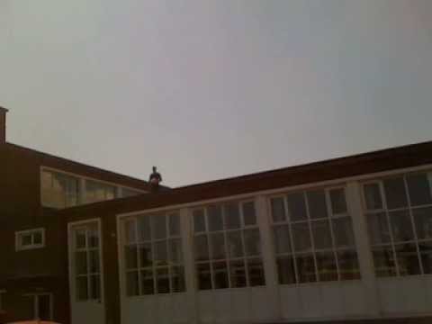 Spider-Pole