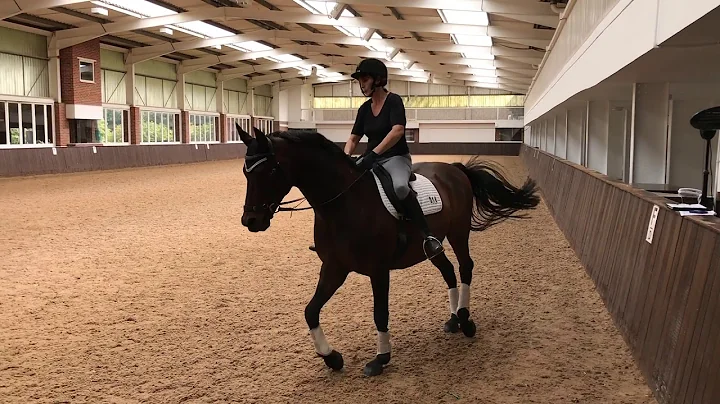 Sandra Farley Dressage to Music