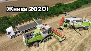 Збирання пшениці 2020! Комбайни CLAAS Lexion 760 TT, трактор Zetor Forterra, борона Mzuri Rezult