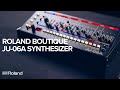 Звуковой модуль ROLAND JU-06A Aira