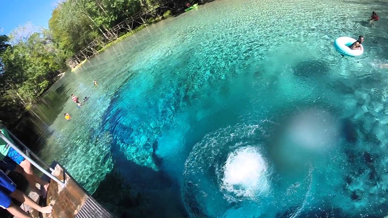 Santa Fe river, High Springs & Weeki Wachee river FL 2015 YouTube