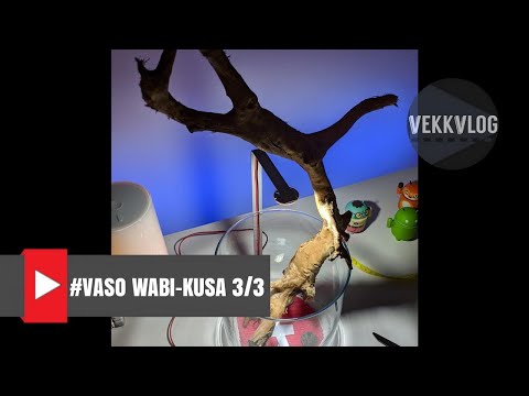 diy-wabi-kusa-style-vase---technique---chapter-3-of-3
