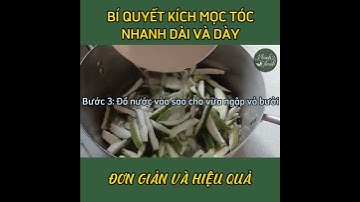 BÍ QUYẾT KÍCH MỌC TÓC NHANH DÀI VÀ DÀY | ĐƠN GIẢN, HIỆU QUẢ #lamdep #haircare #beauty