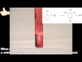 Reaction of bromine with phenol