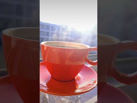 صباح الخير بصوت جنات قولوا لعين الشمس أجمل حالات واتس قصيرة 