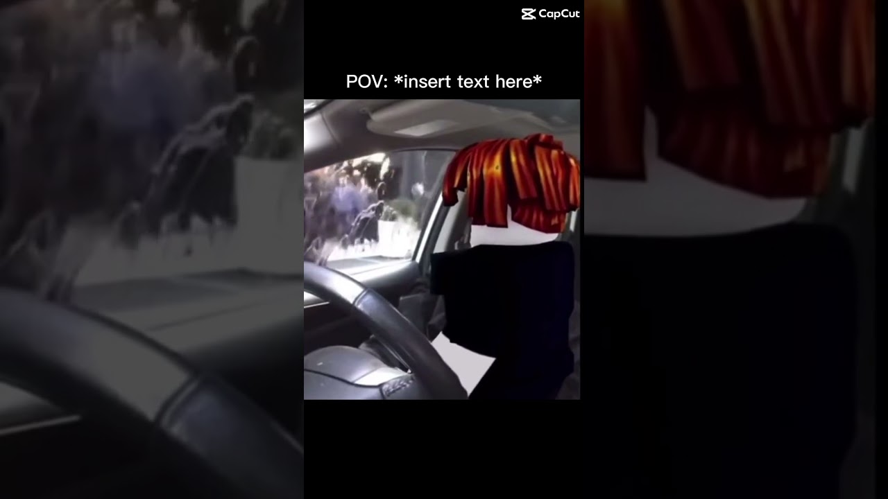 Pov: insert text here