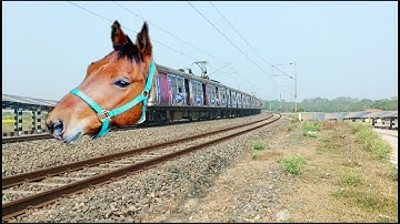 Dangerous Mad Horse Headed Howrah-Katwa Local Furious Skipped At Curved