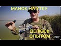 КАК МАНИТЬ УТКУ ДУХОВЫМ МАНКОМ/Делюсь опытом