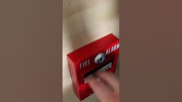 old fire alarm horn vs new fire alarm horns - System test 10 #firealarm #systemtest #simplex