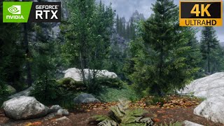 The Skyrim Remake: The Ultimate 2023 Graphics Mod Collection  (4k60fps)