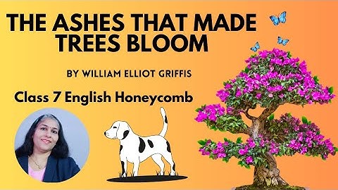 The Ashes that made Trees bloom, class 7 English-Honeycomb