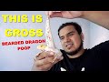 Grossest Bearded Dragon Video !! Keeping It Real Cleaning !!