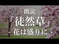 徒然草「花は盛りに」朗読｜原文・現代語訳｜高校古典