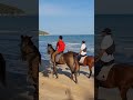 Beach walk, Koh Samui #thailand #travel #beach #horse