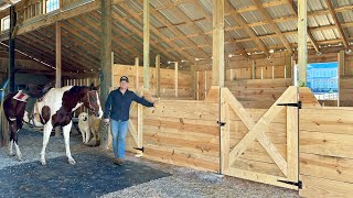 Building a horse stall in my pole barn!