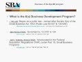 Webinar- Not Just Contracts: The SBA's 8(a) Business Development Program