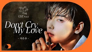 Lyric Video | EUNWOO CHA - Don't Cry, My Love (Under the Oak Tree OST Part.1)