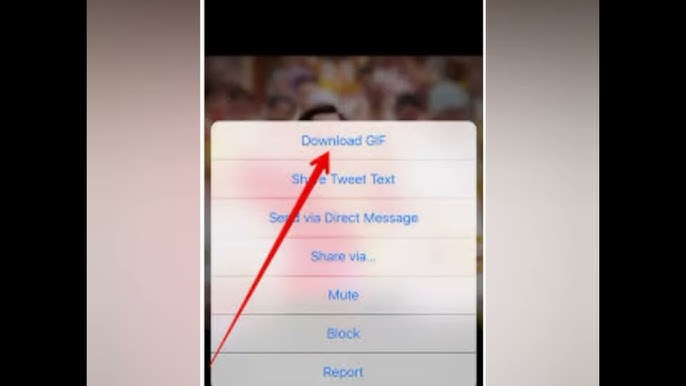 How to Download or Save GIFs from Online/Twitter/iOS/Android