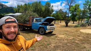 One of my LEAST favorite jobs on the Ranch