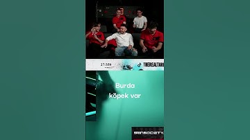 Tarik gay alert #valorant #valorantclips #shorts #shortvideo #shortsvideo #viral #tarik #fyp