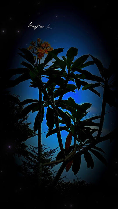 Saben malam Jum'at ahli kubur muleh nang omah