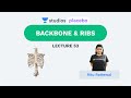 L53: Backbone and Ribs | Human Physiology (Pre-Medical: NEET/AIIMS) | Ritu Rattewal