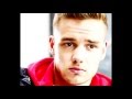 Liam Payne | Just the way you are