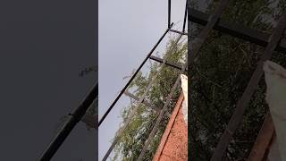 Download Lagu naseeba bhi Kya rang laya #naseeb #naseerudinshah #afrannisho #nasirames #naakmusiq #naamshabana MP3