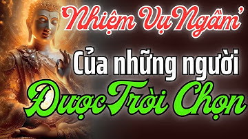 Nhiệm Vụ Ngầm Của Người Được Chọn – Không Ai Giao Nhưng Không Thể Chạy Trốn