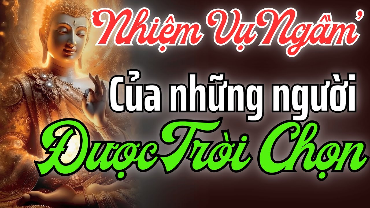 Nhiệm Vụ Ngầm Của Người Được Chọn – Không Ai Giao Nhưng Không Thể Chạy Trốn