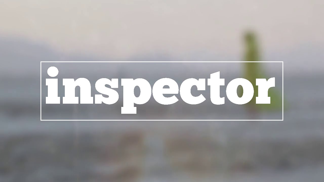 Inspector Spelling