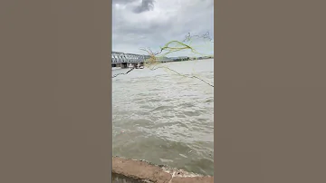 Trending News Fishhunting Fish Fishing Floods Heavyrain Heavyfloods Shorts Ytshorts 2025 