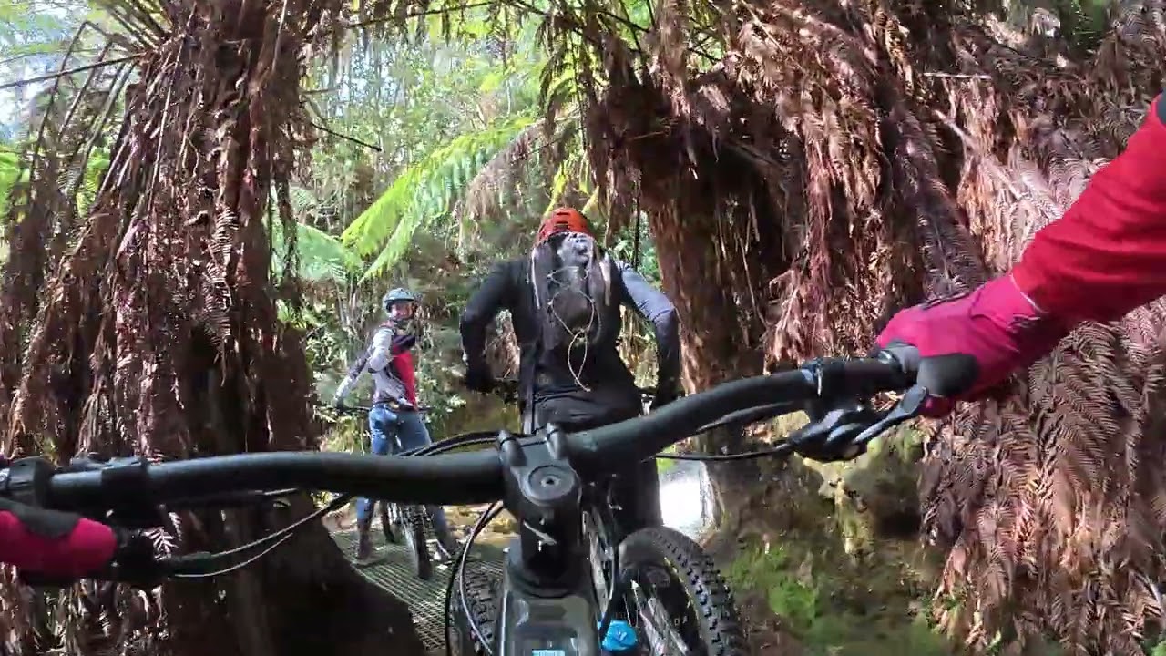 Blue Derby Mountain Biking Trails - Axehead