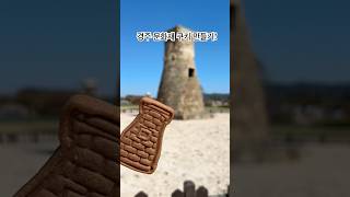 경주 여행 가기 전에 만든 문화재 쿠키#신라시대 #역사쿠키#gyeongju Cookies