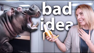 Bad Idea Brainstorming Benefits explained in 3 minutes