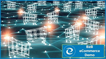 B2B eCommerce demo