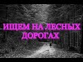 ИЩЕМ НА ЛЕСНЫХ ДОРОГАХ.