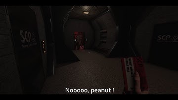 Average SCP SL experience