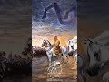 ٣ سبتمبر ٢٠٢٣