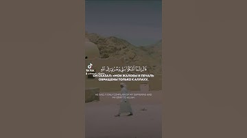 قال انما اشكو بثي وحزني الى الله|مقطع قران|تلاوة هادئة|ارح قلبك|ستوريات قرآن| اية قرانية قصيره|quran